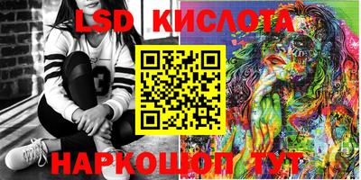 крисы Абакан