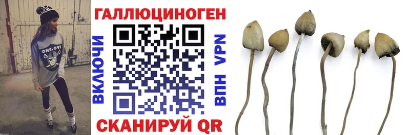 Псилоцибиновые грибы Magic Shrooms  Апатиты 